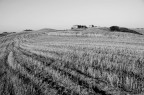 Terra di Siena