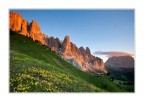 Downhill profiles
