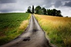 Tra due &quot;campi&quot;