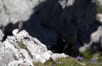 Il guardiano della gola del diavolo
