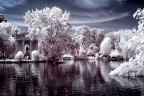 :::IR:::
