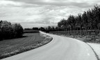 Lungo la strada