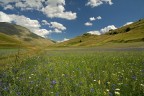 Castelluccio 3