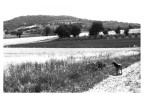 Pentax ME super_scansione da negativo