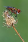 1DmkIV 180mm+ 1,4X 1sec f22 100iso

1200px http://a.imageshack.us/img839/4251/1431.jpg