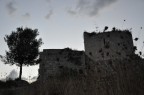 Noto antica
