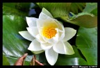 Nikon D90 + Sigma 105 mm Macro
F/5 - 1/400s - ISO 200 - AF/A