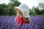 Lavanda