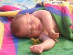 sonni tranquilli