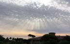 dal mio giardino