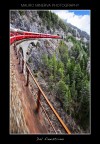 In viaggio sul trenino rosso del Bernina.

Commenti e critiche sempre ben accetti.
Grazie