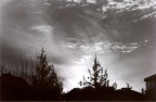 Beh, non si tratta proprio di aurora boreale :-), ma di un paesaggio preso dalla finestra della mia camera, con in primo piano la vegetazione controluce di un parchetto urbano...