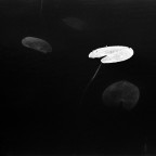 pellicola IR, filtro rosso