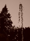 scattata con nikon coolpix s570