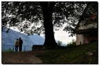panorami