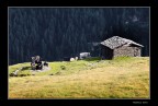 Antichi alpeggi