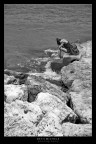solitudine?