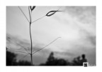 serie fotografica "Hypsos - Spiritualit e Materia"