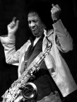 james senese live