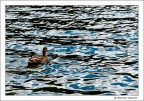 Il lago a Misurina