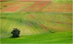 Luglio al Piano Grande