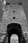 Torre