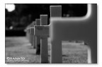 American cimitery 2