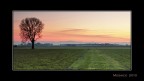 Dolce campagna