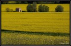 Pentax k10D
