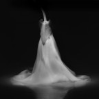 dipingere con la luce