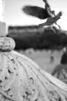 D60
35mm f1.8 @f1.8
1/500
iso 100