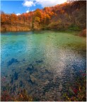 Riflessi