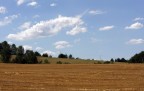 il campo di grano