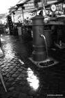 concorso fotografico "nasoni de roma 2010"