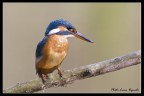 martina pescatrice