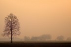 Luci e nebbia 3