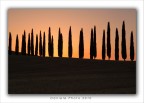 in fila per l'alba