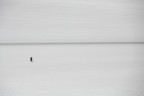 salar di Uyuni passeggiata nel sale