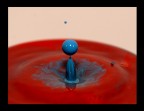 piccolo esperimento con acqua colorata...