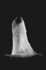 (7 di 7 project: THE PHANTOM BRIDE)