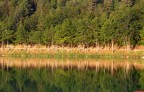 70  IN RIVA AL LAGO