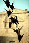 volate