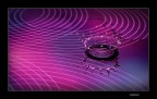 Water Drop