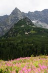 Monti Tatra, Polonia.