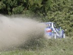 Un po' di sassi  non fanno male!
