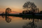 Acqua di riso