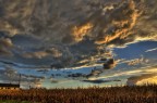 Cielo