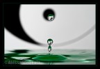 Yin e Yang