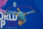 Pesaro World Cup 2010