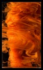Seta arancione